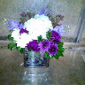 Meet your Posher, Ni